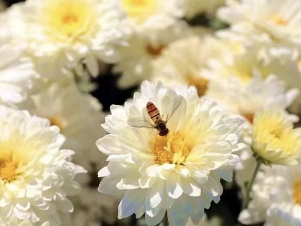 國慶、中秋假期怎么玩才值？這份【不擠人＋高性價比】攻略請查收！